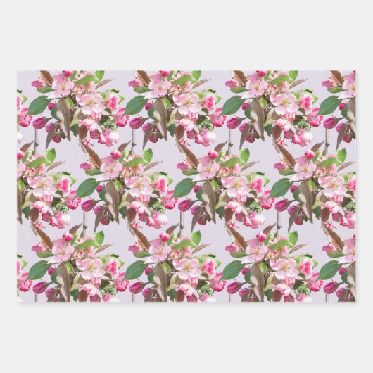 Apple bloesems inpakpapier vel (Voorkant 2)