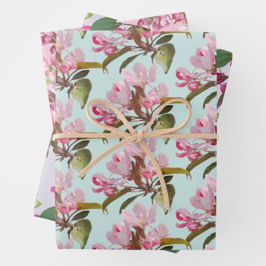 Apple bloesems inpakpapier vel (In situ)