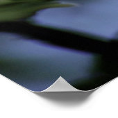 Apple Bloom Poster (Hoek)