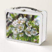 Apple Blossom (Voorkant)