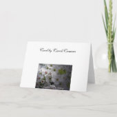 Apple Blossom-aanmoediging Kaart (Achterkant)