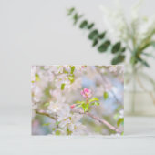 Apple blossom - Beauty Briefkaart (Staand voorkant)