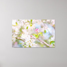 Apple blossom - Beauty Canvas Afdruk