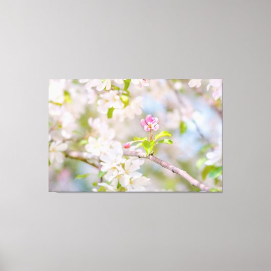 Apple blossom - Beauty Canvas Afdruk (Voorkant)