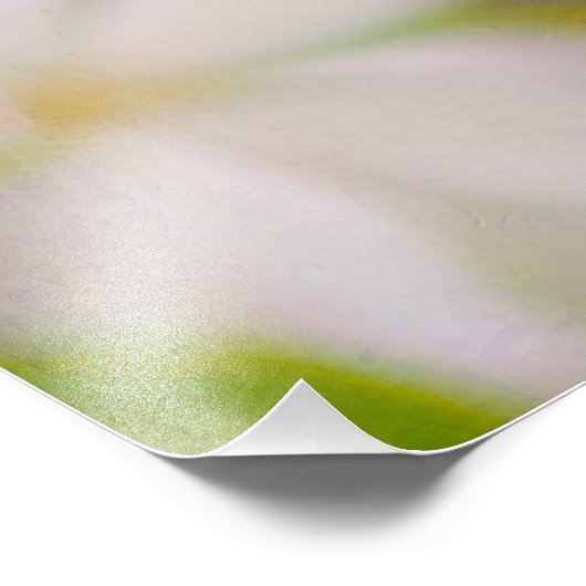 Apple blossom - Beauty Foto Afdruk (Hoek)