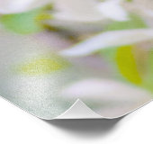 Apple blossom - Beauty Foto Afdruk (Hoek)