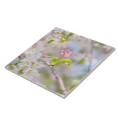 Apple blossom - Beauty Tegeltje (Zijkant)