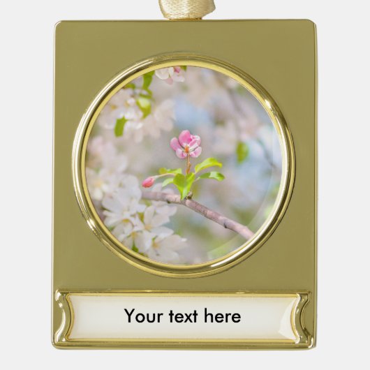 Apple blossom - Beauty Verguld Banner Ornament (Voorkant)