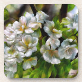 Apple Blossom Bier Onderzetter (Voorkant)