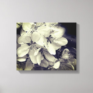 Apple Blossom Black en White Canvas Afdruk