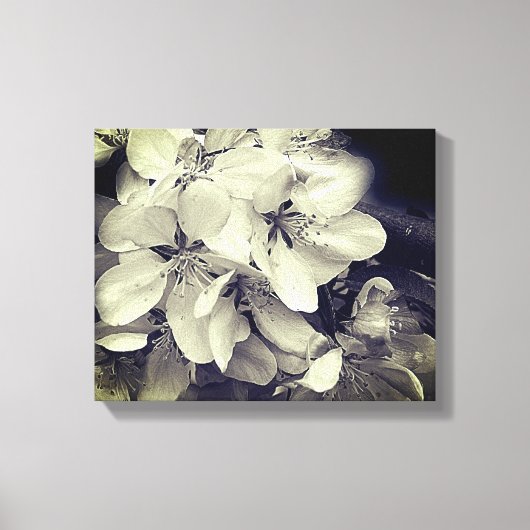 Apple Blossom Black en White Canvas Afdruk (Voorkant)
