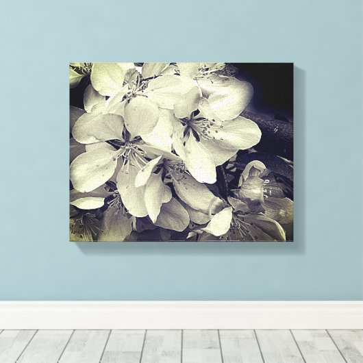 Apple Blossom Black en White Canvas Afdruk (Insitu (Houten vloer))