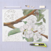 Apple Blossom Branch Bee French Script Decoupage Tissuepapier (Craft)