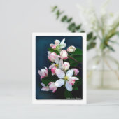 Apple Blossom Branch Briefkaart (Staand voorkant)