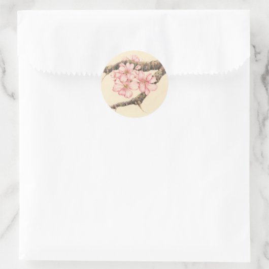 Apple Blossom Branch Ronde Sticker (Tas)