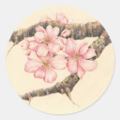 Apple Blossom Branch Ronde Sticker (Voorkant)