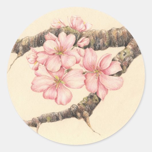 Apple Blossom Branch Ronde Sticker (Voorkant)