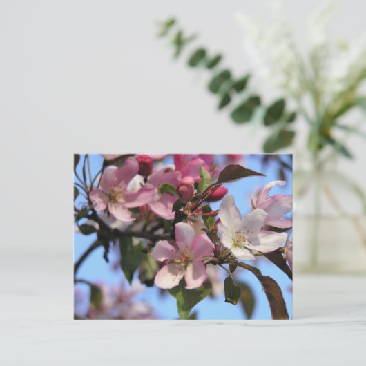 Apple Blossom Briefkaart (Staand voorkant)