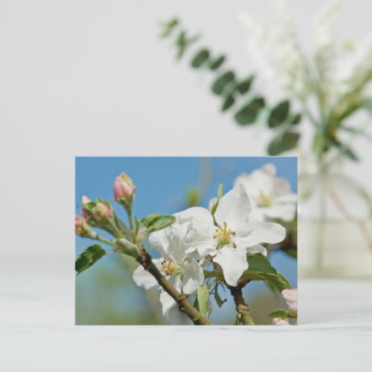Apple Blossom Briefkaart (Staand voorkant)