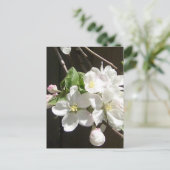 Apple Blossom Briefkaart (Staand voorkant)