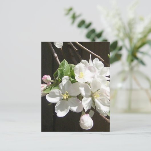 Apple Blossom Briefkaart (Staand voorkant)