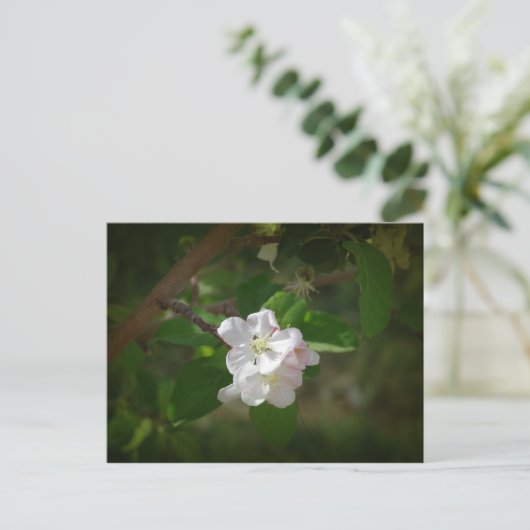 Apple Blossom Briefkaart (Staand voorkant)
