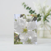 Apple Blossom Briefkaart (Staand voorkant)