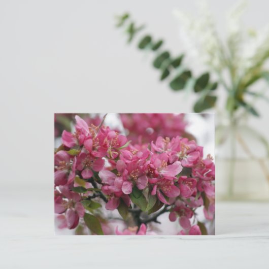 Apple Blossom Briefkaart (Staand voorkant)