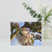 Apple Blossom Briefkaart (Staand voorkant)