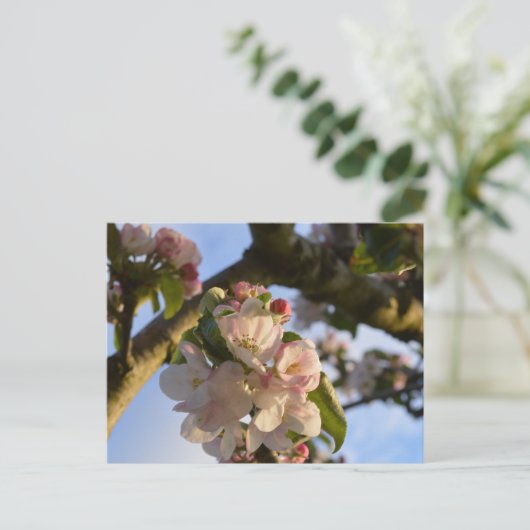 Apple Blossom Briefkaart (Staand voorkant)