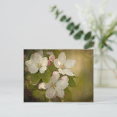 Apple Blossom Briefkaart (Staand voorkant)