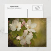 Apple Blossom Briefkaart (Voorkant / Achterkant)