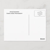 Apple Blossom Briefkaart (Achterkant)