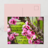 Apple Blossom Briefkaart (Voorkant / Achterkant)