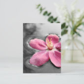 Apple Blossom Briefkaart (Staand voorkant)