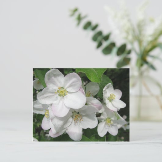 Apple Blossom Briefkaart (Staand voorkant)