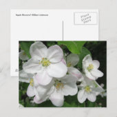 Apple Blossom Briefkaart (Voorkant / Achterkant)