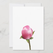 Apple Blossom Bud Feestdagenkaart (Voorkant)