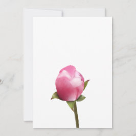 Apple Blossom Bud Feestdagenkaart