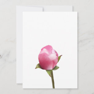 Apple Blossom Bud Feestdagenkaart