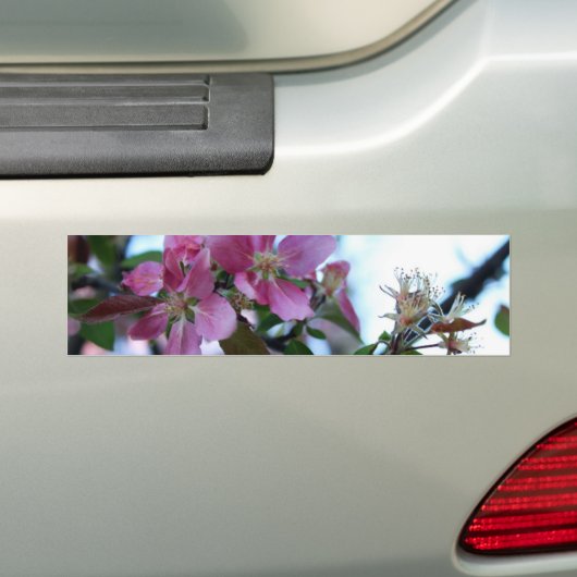 Apple Blossom Bumpersticker (Op auto)
