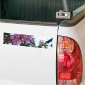 Apple Blossom Bumpersticker (Op Truck)
