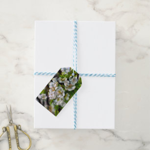 Apple Blossom Cadeaulabel