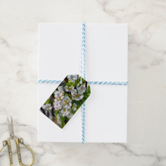 Apple Blossom Cadeaulabel