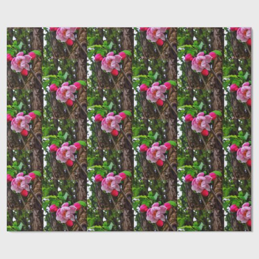 APPLE BLOSSOM  CADEAUPAPIER (Vlak)