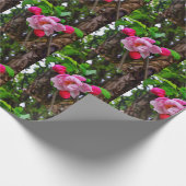 APPLE BLOSSOM CADEAUPAPIER (Hoek)