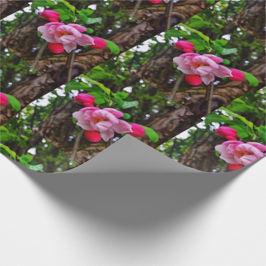 APPLE BLOSSOM  CADEAUPAPIER (Hoek)