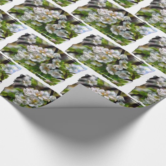 Apple Blossom Cadeaupapier (Hoek)