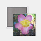 Apple Blossom Camelia Photo Square Magnet (Voorkant / Achterkant)