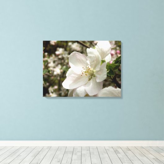 Apple Blossom Canvas Print (Insitu (Houten vloer))